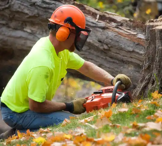 tree services Mandan